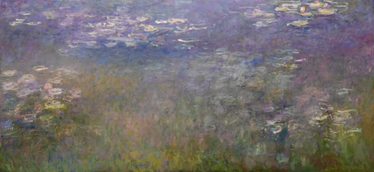 Seerosen